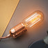LED lamp lichtbron voor Tolhuijs lampen