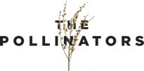 Dé Duurzame Scheurkalender Part(ners) 2 | The Pollinators
