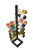 Wijnstok (zwart) - Tolhuijs